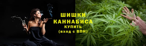 ГАЛЛЮЦИНОГЕННЫЕ ГРИБЫ Вязьма