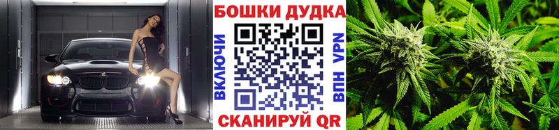 дарнет шоп  Княгинино  кракен как войти  Шишки марихуана планчик 